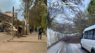 Из-за ЧП на дорогах в Севастополе перебои в движении общественного транспорта