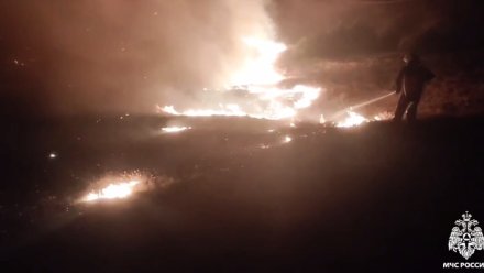 Названа причина масштабного лесного пожара в Крыму